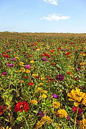 《真人快打1》发布首日补丁 修复BUG增加终结技